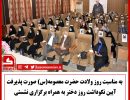ددانشگاه