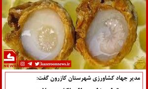 ژل رویال