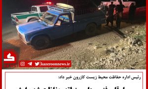 فنس ارژن