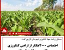 ۴۰۰۰ هکتار تابستانه