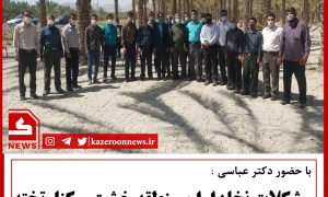 برسی مشکلات نخل داران