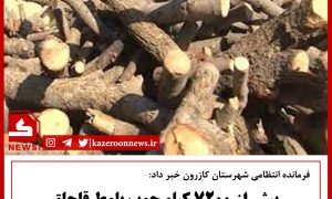 کشف چوب قاچاق