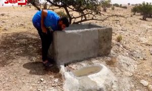 آبشخور