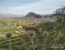 IMG_20190329_174405