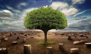 Cut-down-trees-1400×789-1