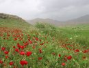 IMG_20191208_WA0002