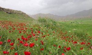 IMG_20191208_WA0002