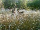 photo4921566692