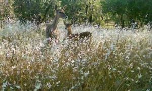 photo4921566692