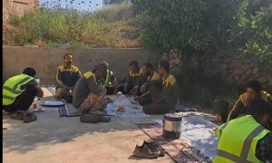بام سبز کازرون